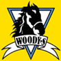 Woody's Performance Horse Feed
